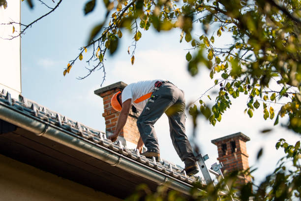 Best Flat Roof Repair Services  in Bear Creek, AK