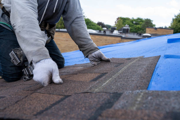 Best Metal Roofing Contractor  in Bear Creek, AK
