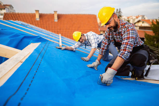 Best Storm Damage Roof Repair  in Bear Creek, AK