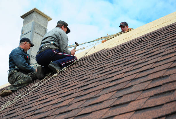 Best Roof Repair Services  in Bear Creek, AK
