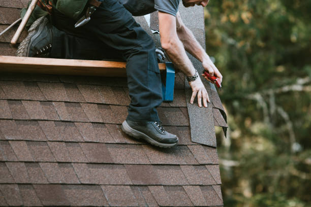 Best Gutter Installation and Roofing  in Bear Creek, AK